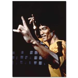 Bruce Lee "Game of Death" Movie Poster | Official Art Print A3 A4