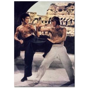 Bruce Lee & Chuck Noris "The Way of the Dragon" Movie Poster | Official Art Print A3 A4